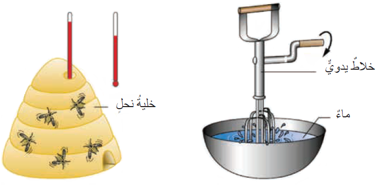 وسائل ضبط النحل درجة الحرارة داخل الخلية